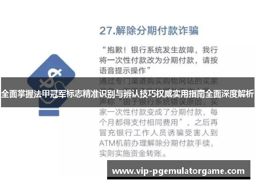 全面掌握法甲冠军标志精准识别与辨认技巧权威实用指南全面深度解析