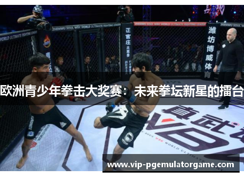 欧洲青少年拳击大奖赛：未来拳坛新星的擂台