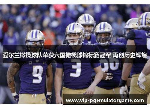 爱尔兰橄榄球队荣获六国橄榄球锦标赛冠军 再创历史辉煌